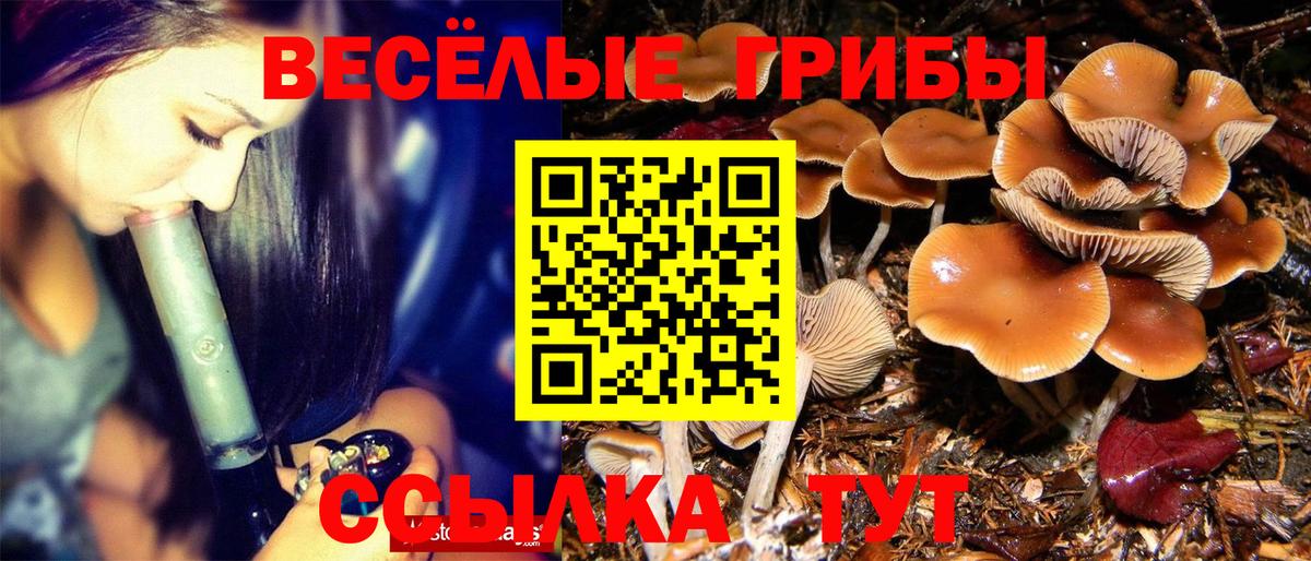 Галлюциногенные грибы Cubensis Верхняя Салда