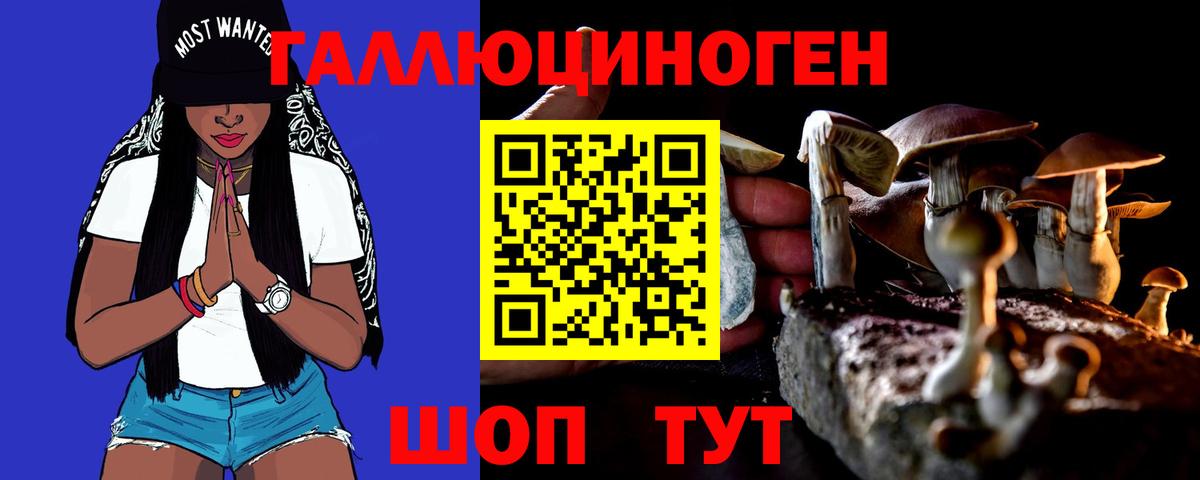 Псилоцибиновые грибы прущие грибы  Вход с VPN  Верхняя Салда 