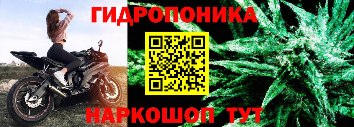 Шишки марихуана гибрид  Вход с VPN  Шишки марихуана MAZAR  Бошки Шишки LSD WEED  Бошки марихуана SATIVA & INDICA  Верхняя Салда 